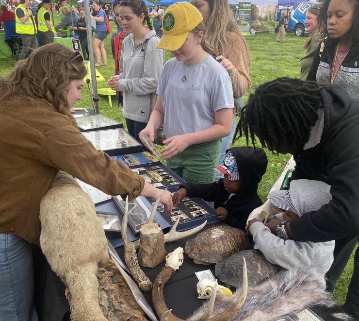 Rappahannock Festival 