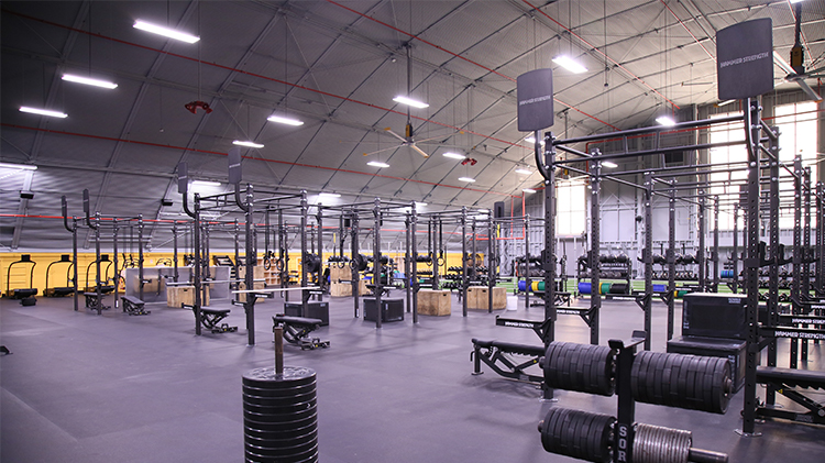 Physical Fitness
