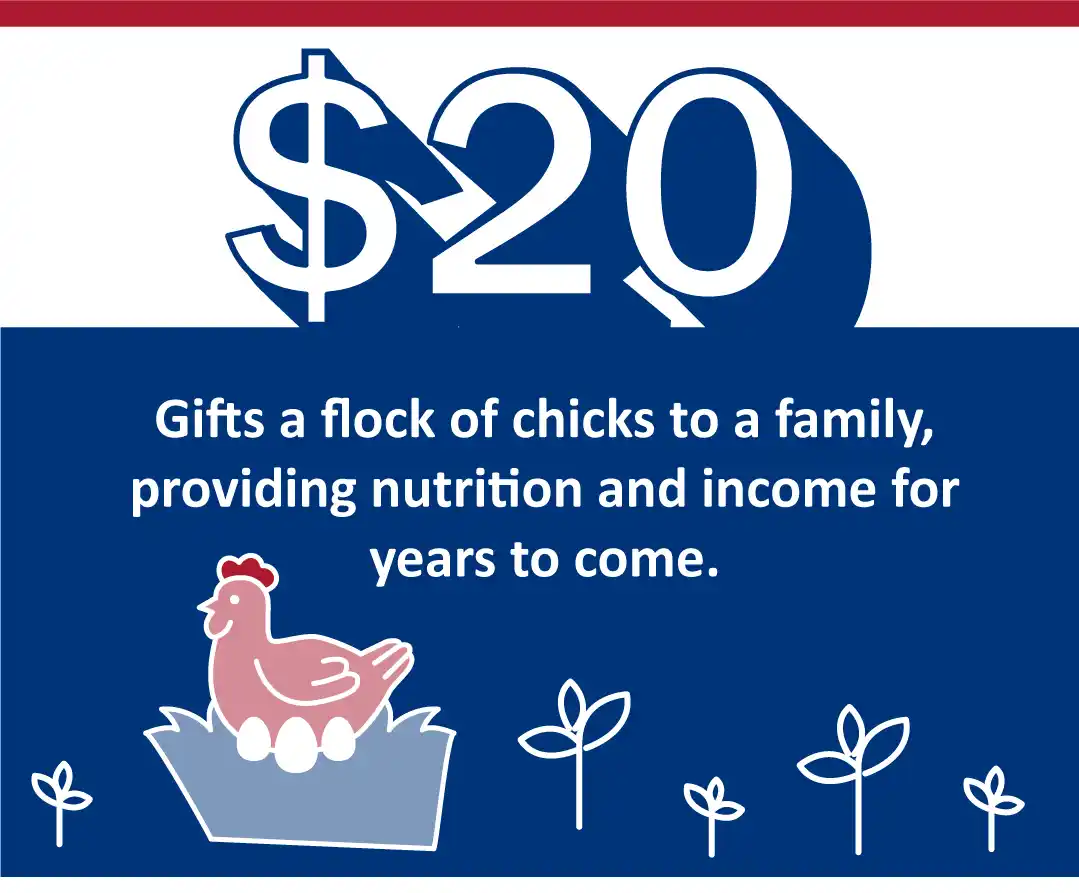 End Poverty - Chicks to Family Image.png