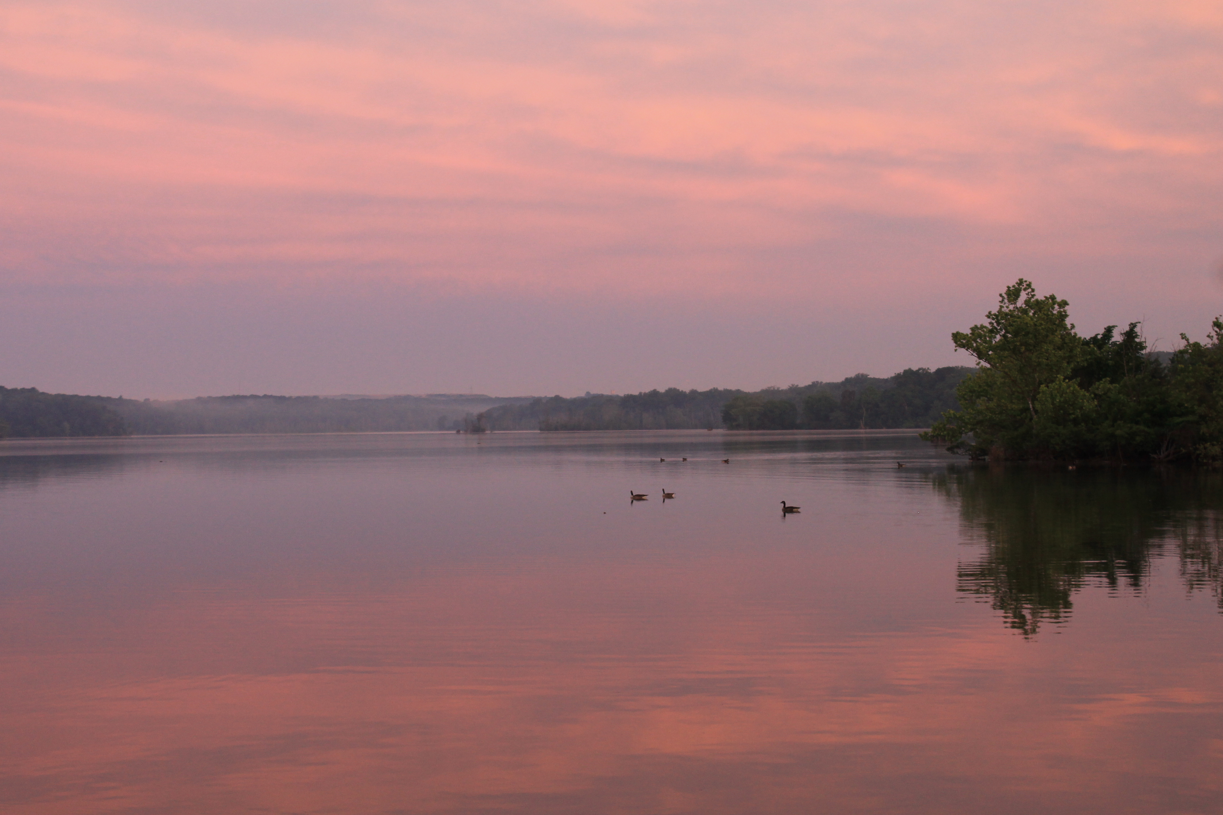 Tompkins Basin