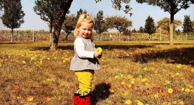 September 2020: Apples picking on Caserme Daumerie