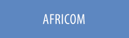 AFRICOM_button.jpg