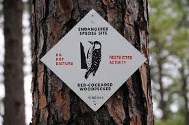 Fort Bragg, N.C. is home to various endangered species.