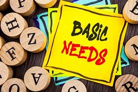 BNA Basic Needs Allowance