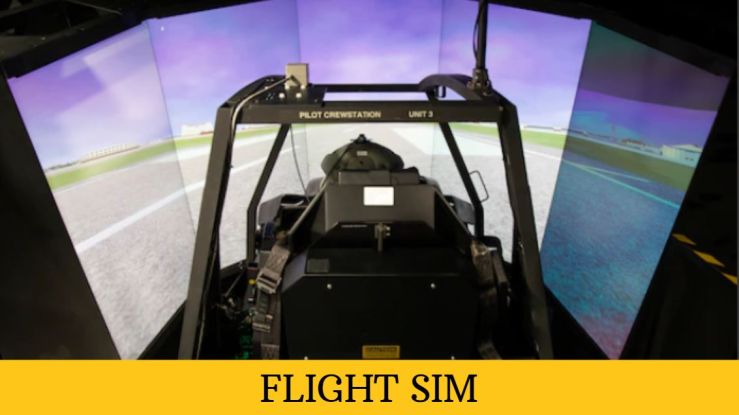 Flight Sim