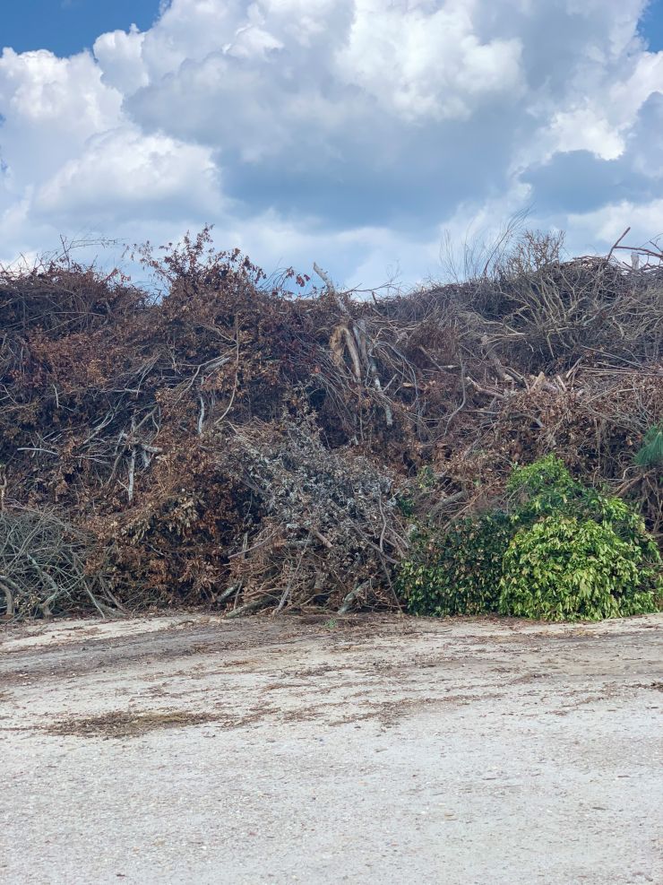 Yard Waste