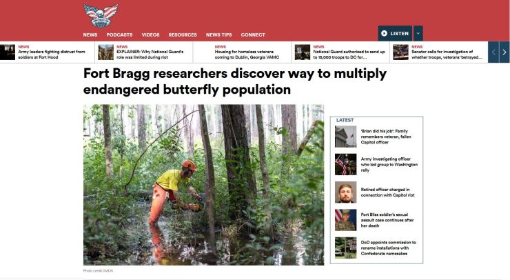 Fort Bragg researchers discover way to multiply endangered butterfly population.JPG
