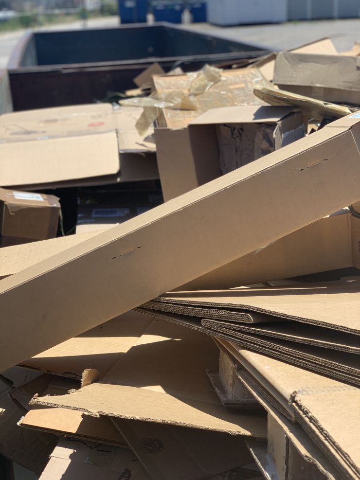Cardboard