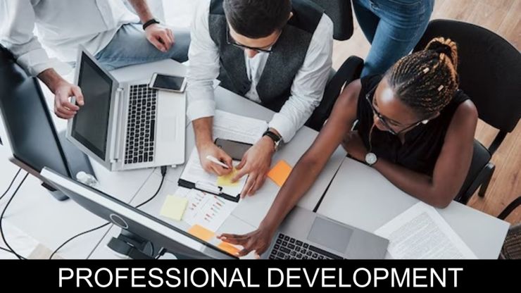 Professional Development 