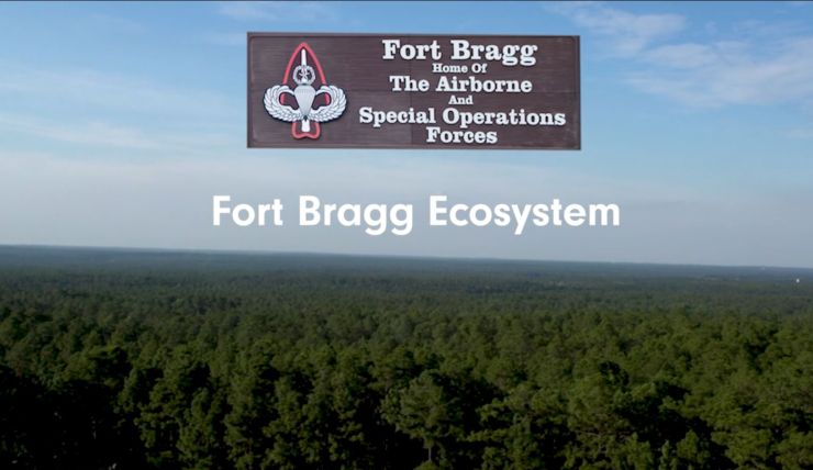 Fort Bragg Ecosystem.JPG