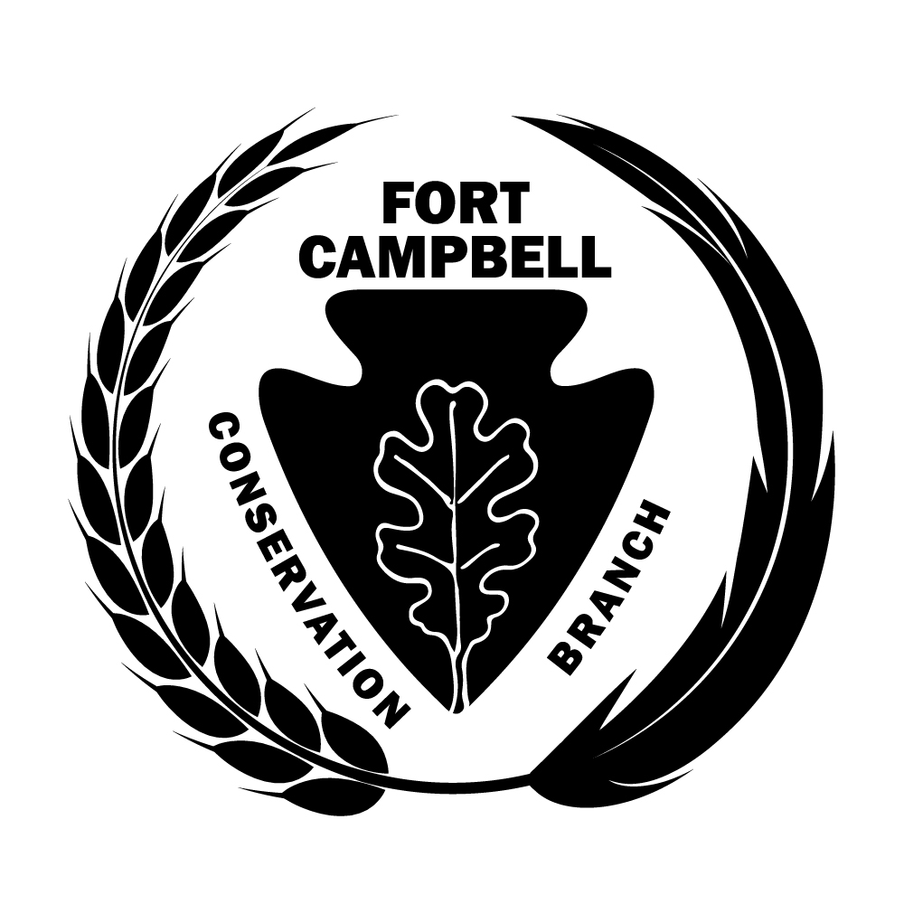 logo-3.jpg