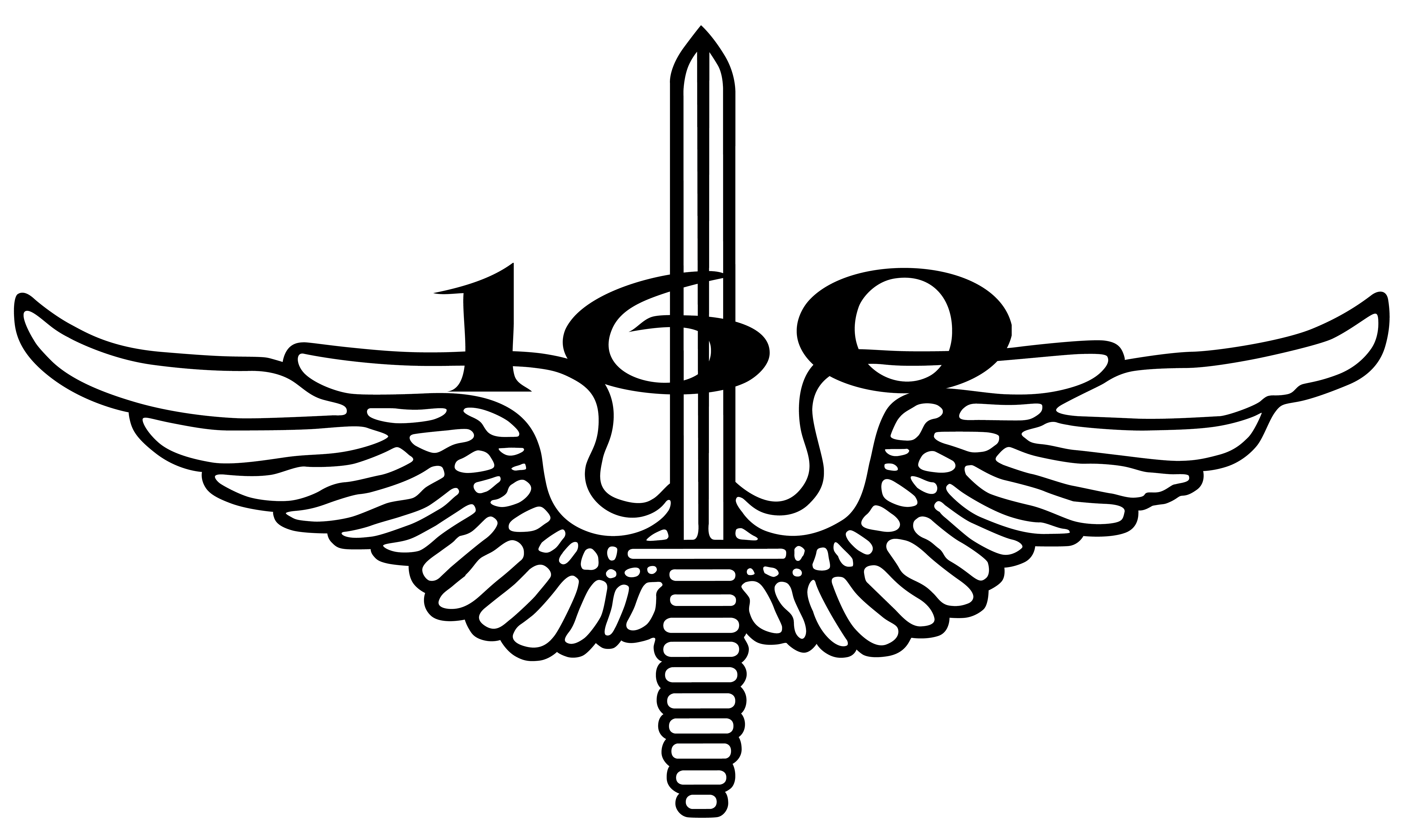160thWings (2).png