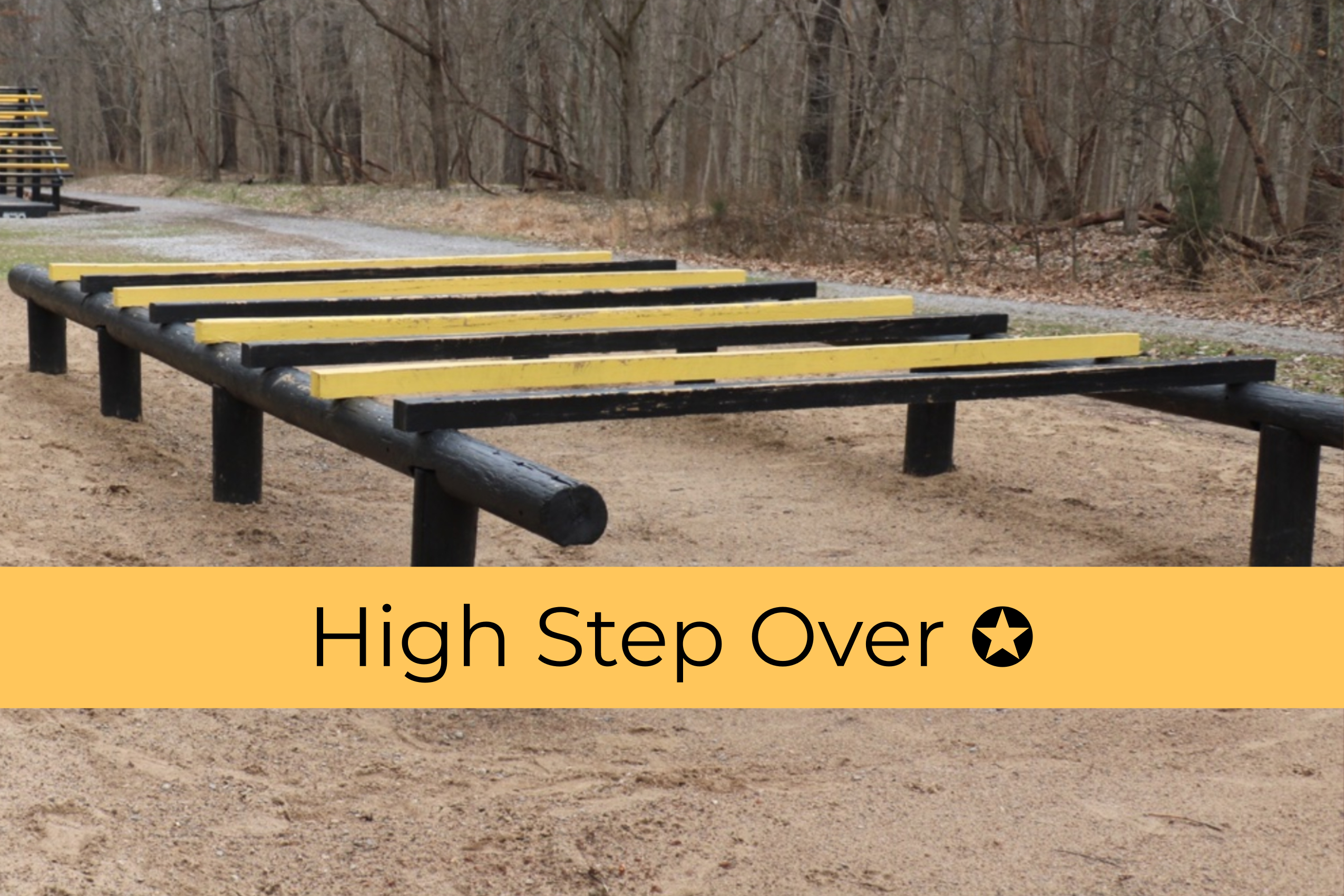 High Step Over.jpg