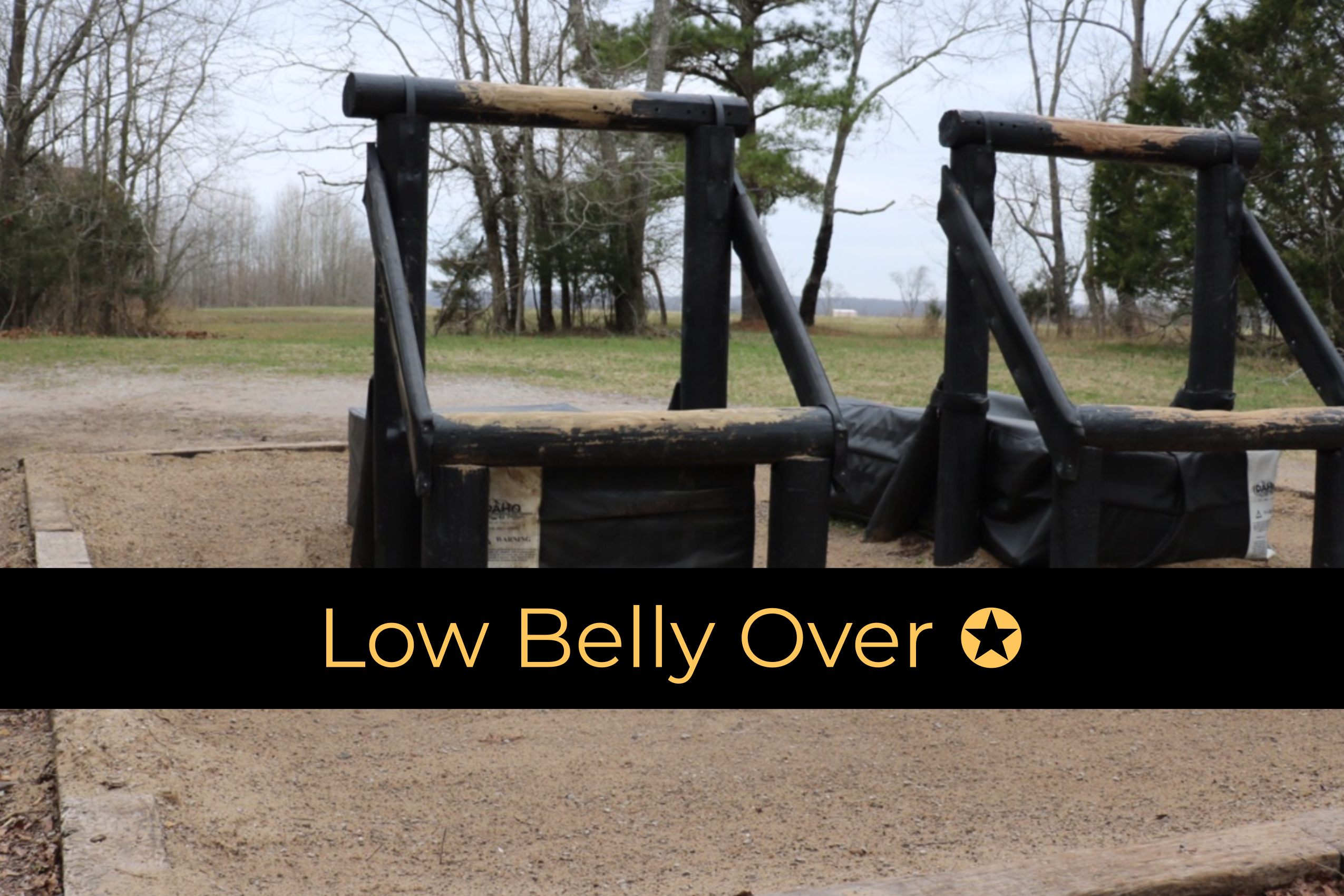Low Belly Over.jpg