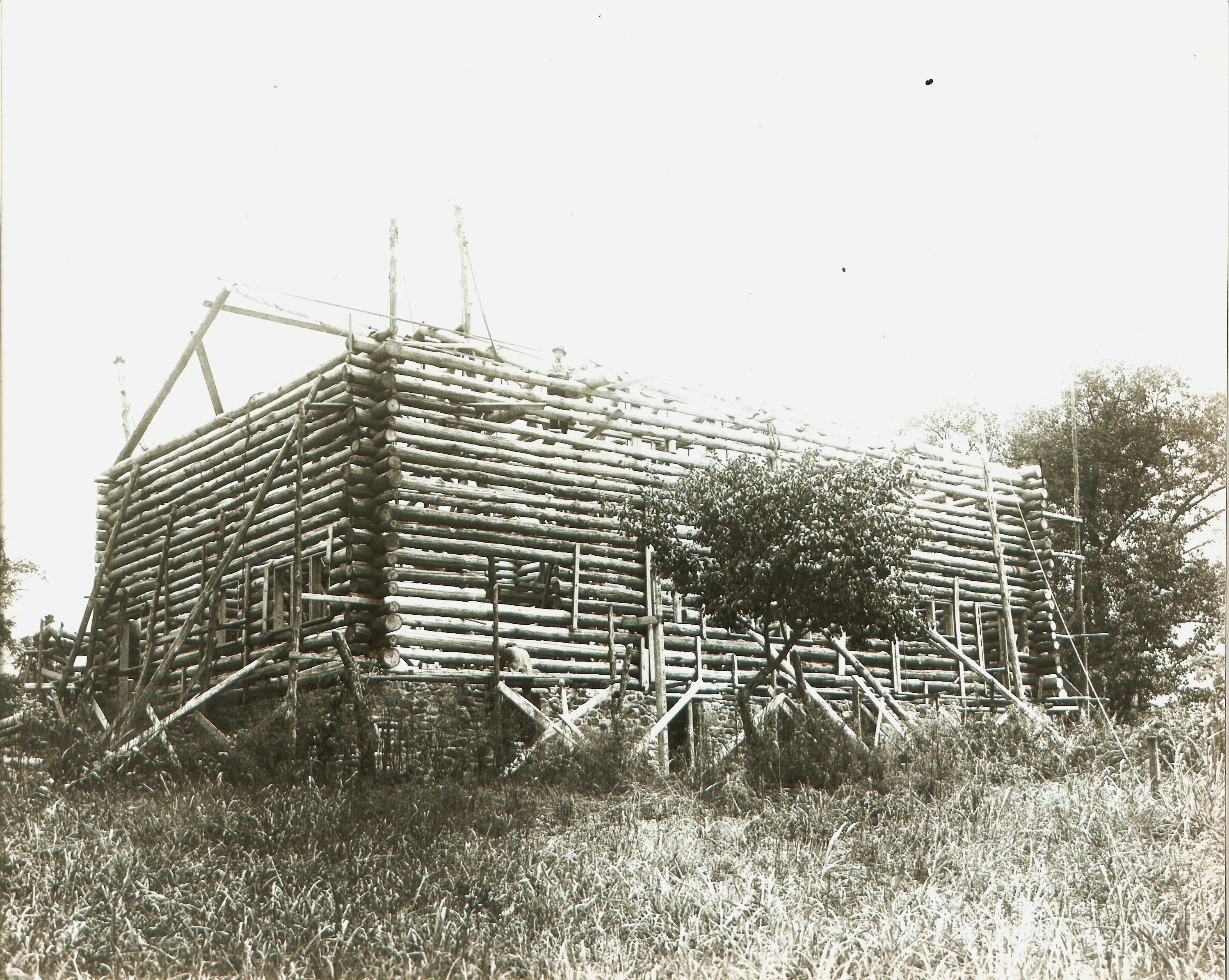 Building #1541.jpg