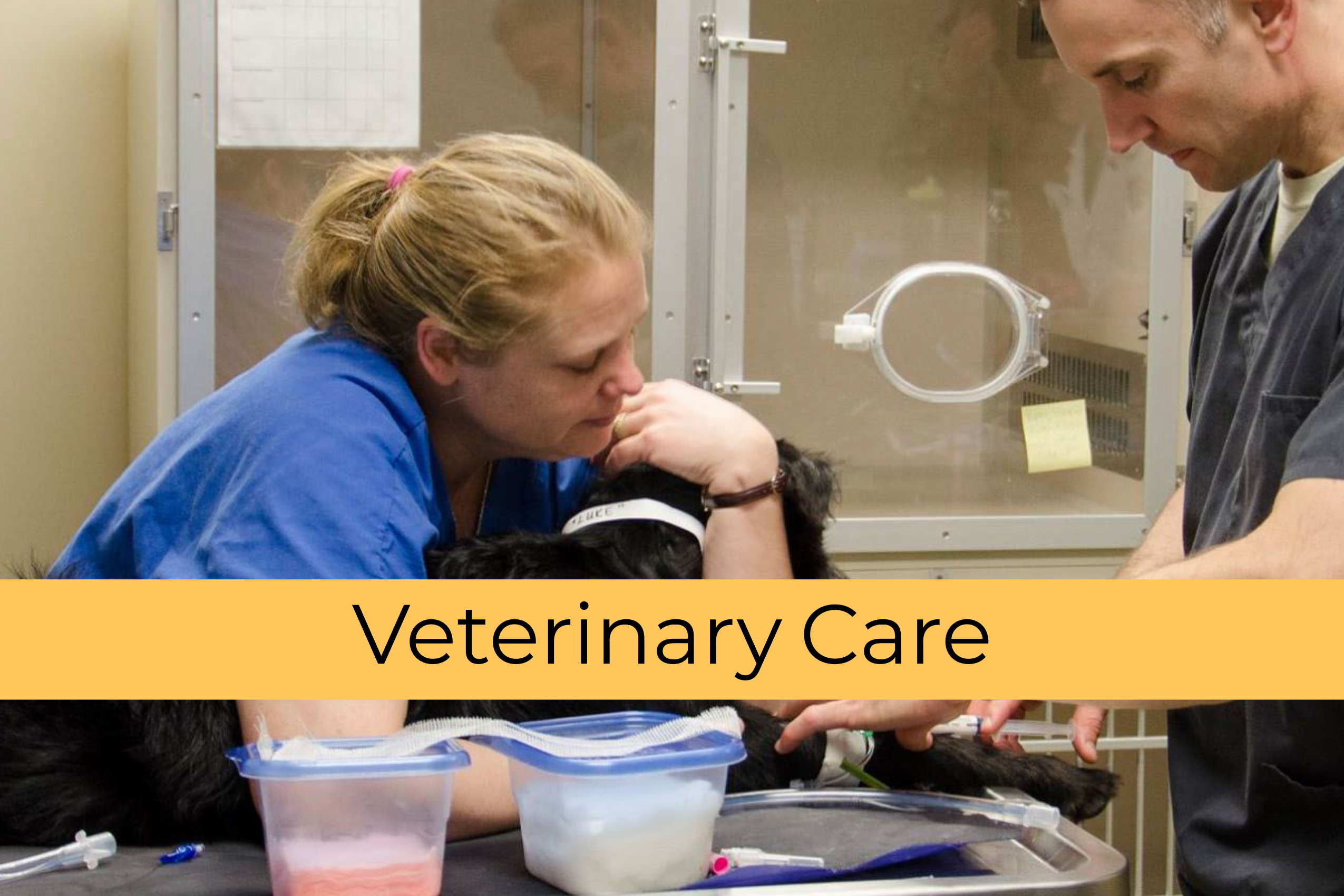 Fort Campbell Veterinary Center