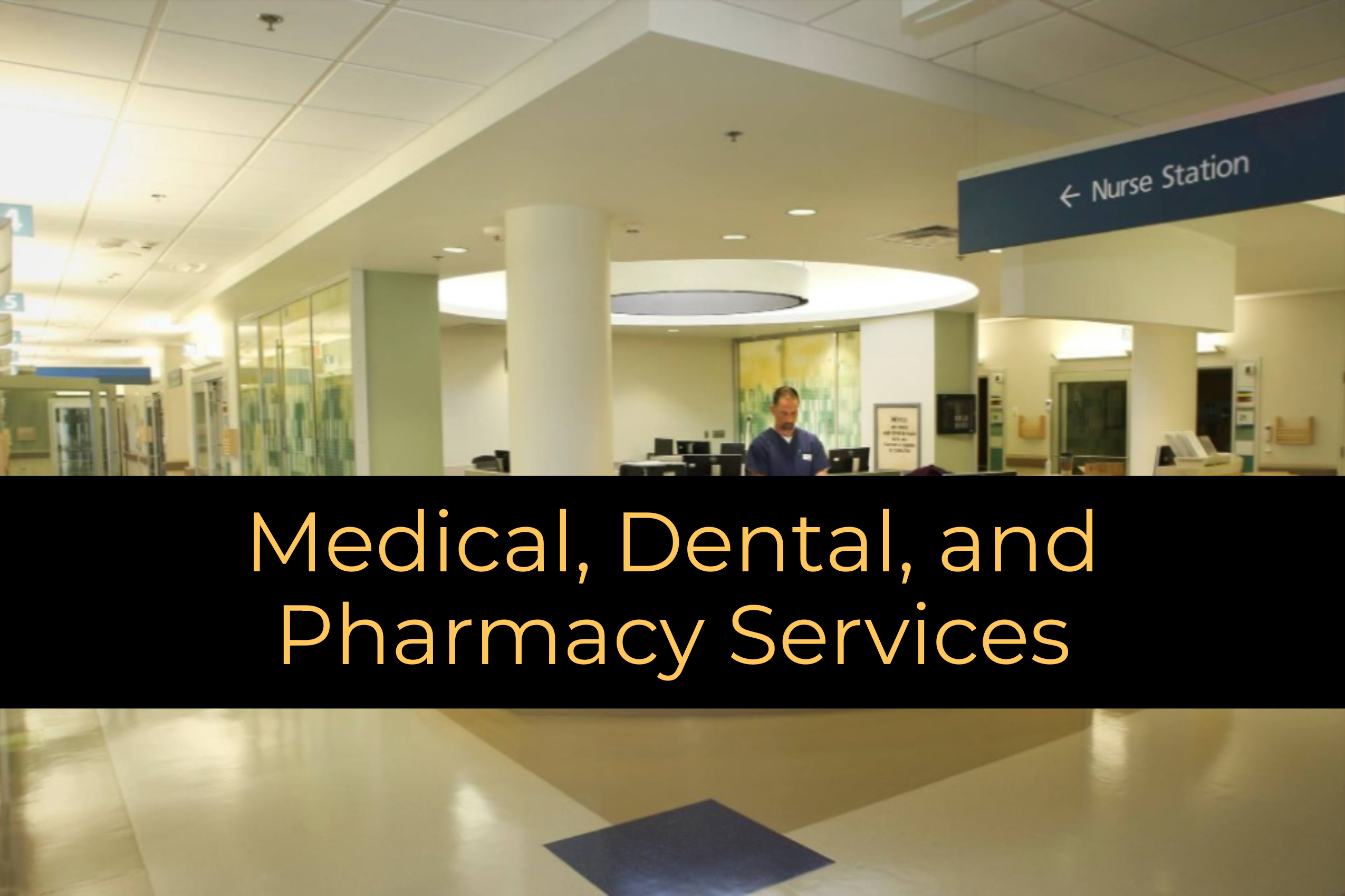 Medical, Dental, and Pharmacy Services