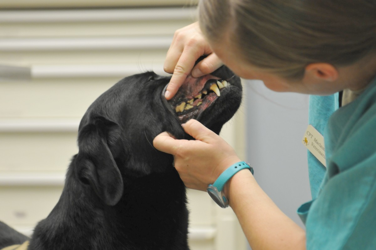 vet-center.jpg