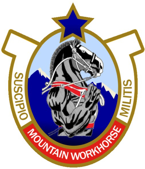 Workhorse logo (White Background).jpg