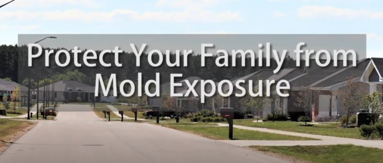 Protect Yourself From Mold Housing Video Photo.png