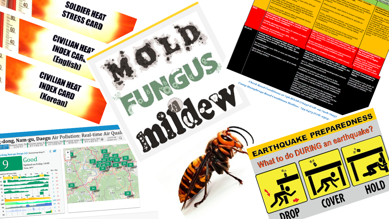 Environmental Safety, Road, Insect