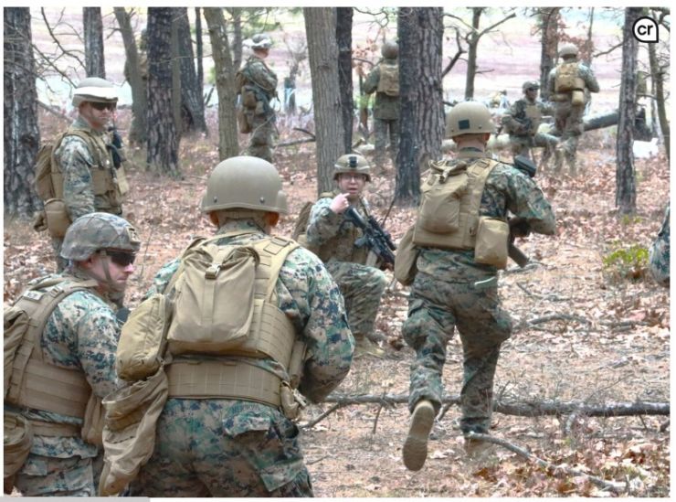 JB MDL- 2 BN 25 Marines, Platoon Live Fire Exercise, 5 April 2025