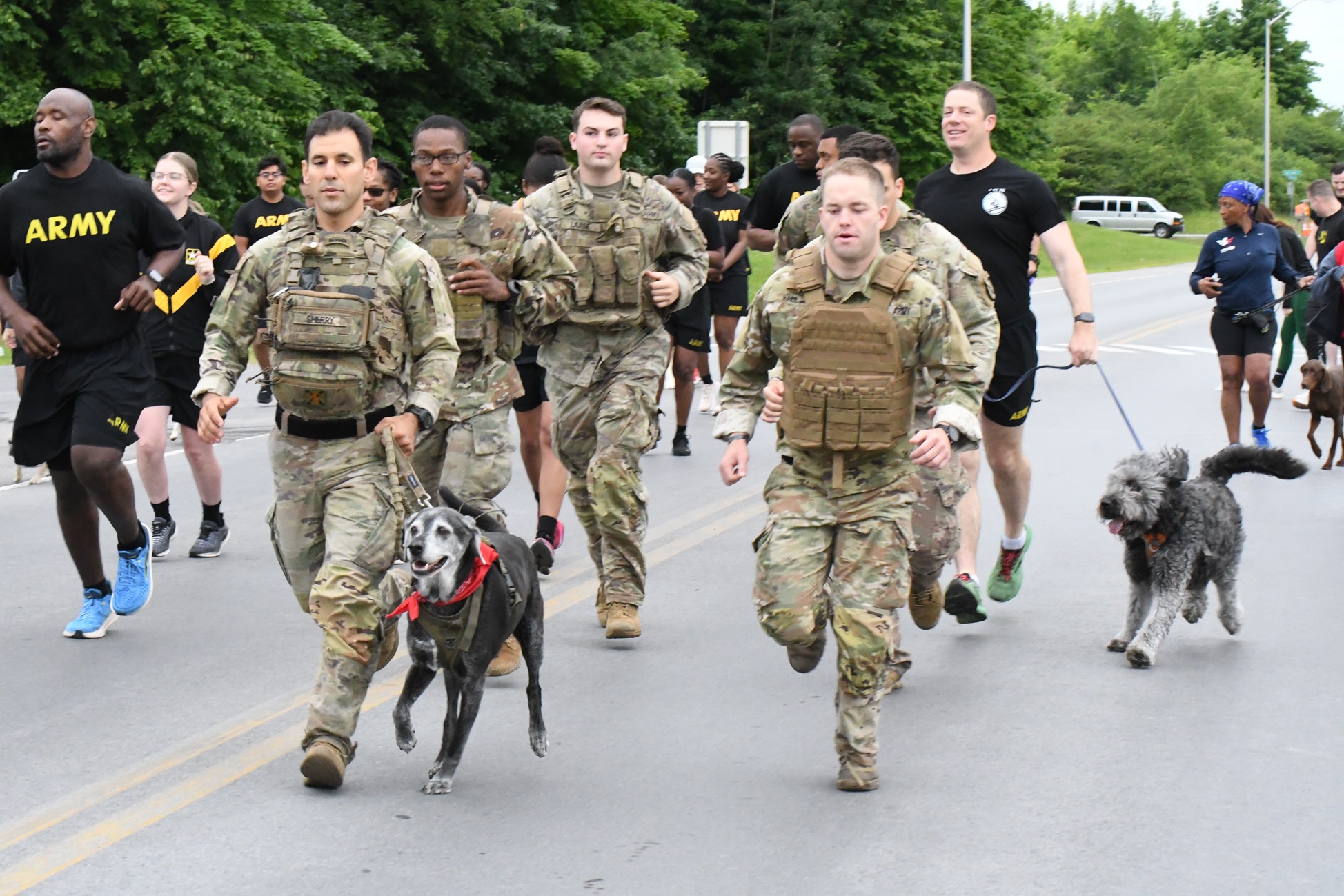 Soldiers run with dogs.
