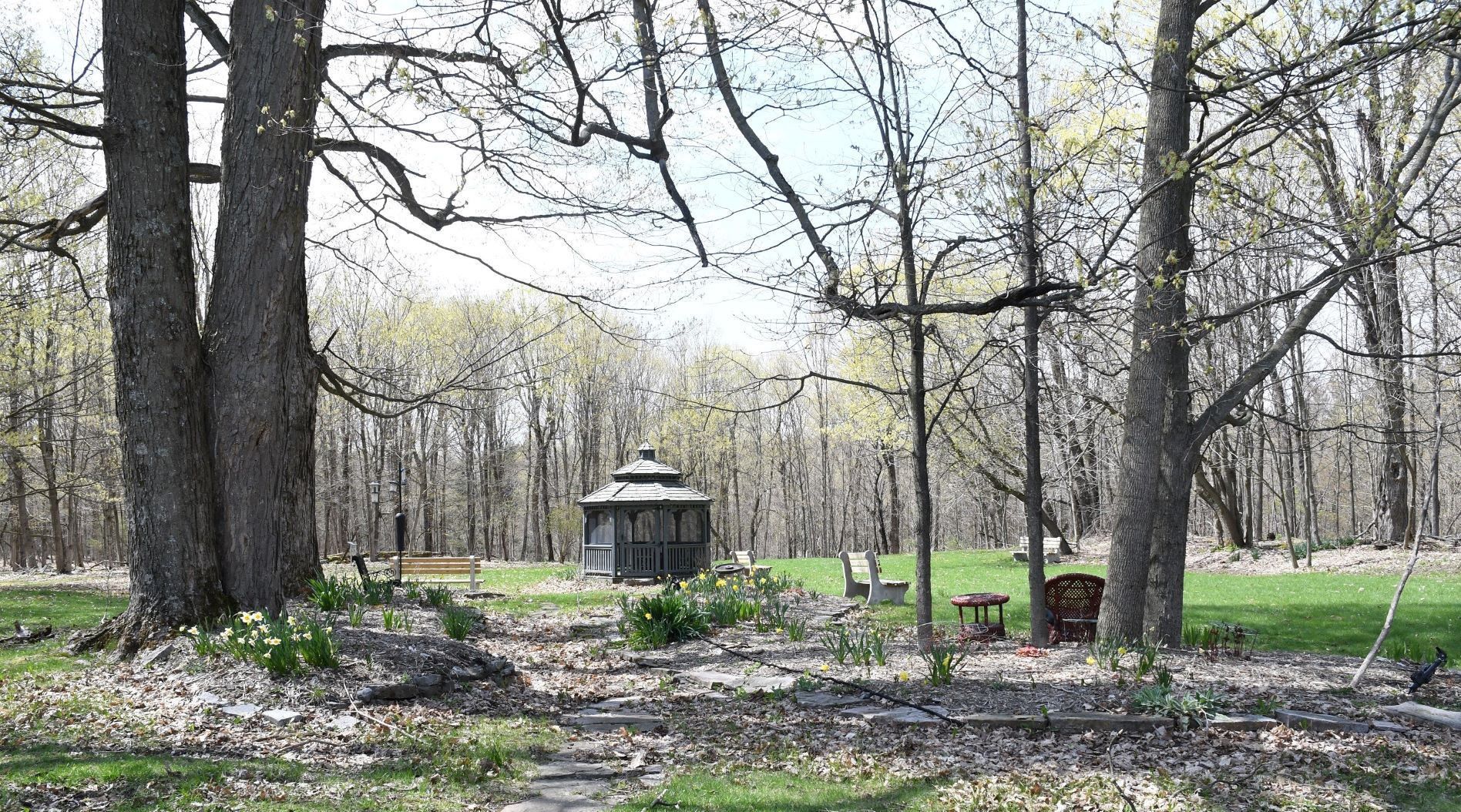 LeRay Mansion Shade Garden cr wb.jpg