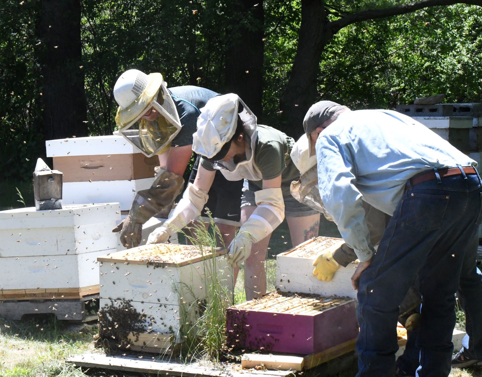 Bee Farm tour wb.jpg