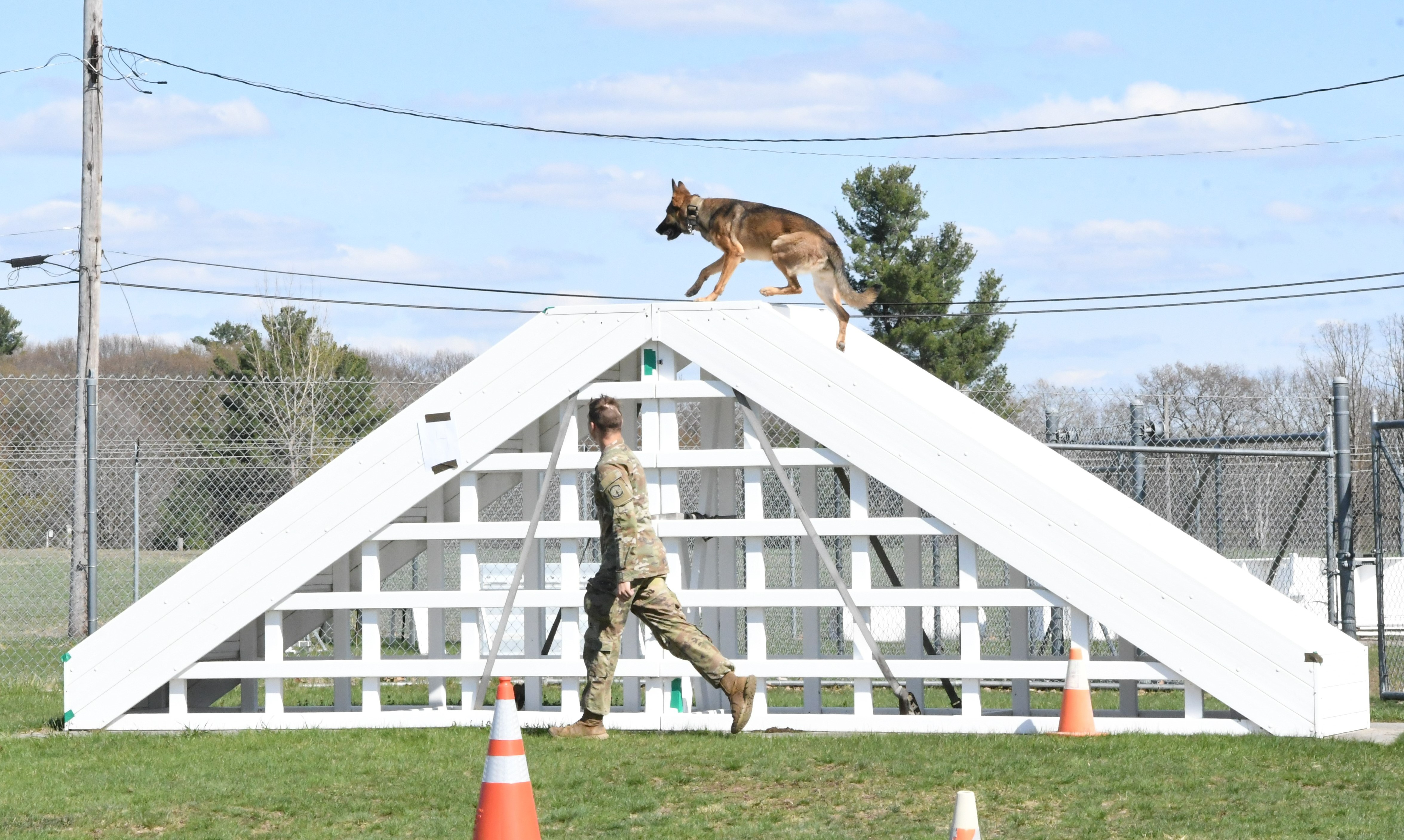 2023 Top Dog 1 cr.jpg