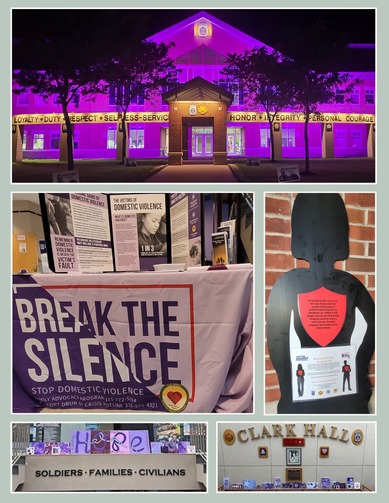 2022 DVAM graphic wb.jpg