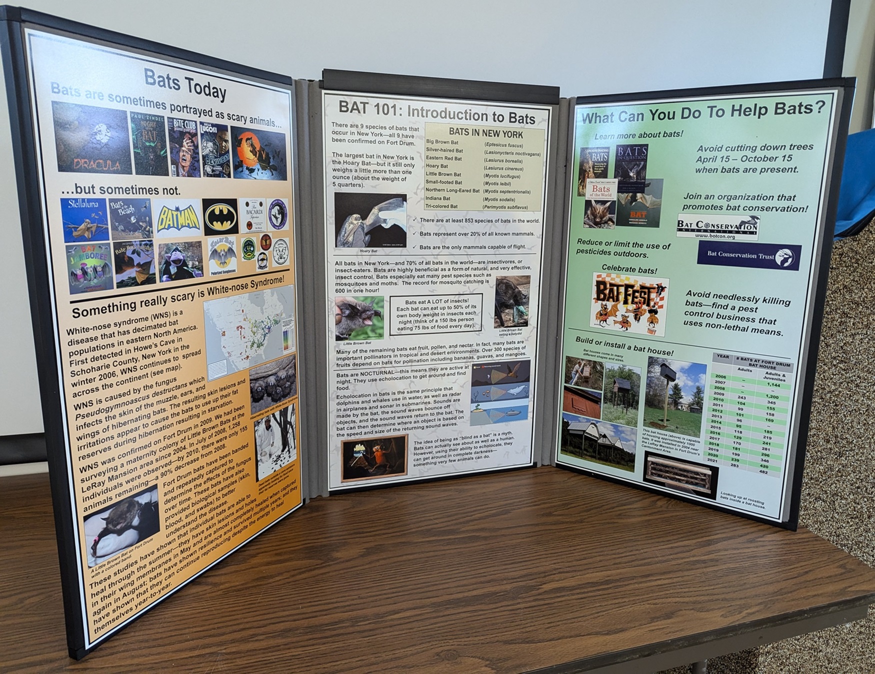 Natural Resources Outreach Facility includes a Bat 101 display for visitors.