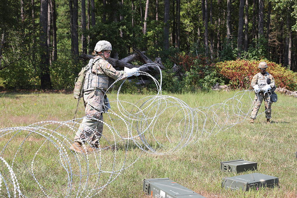 ATHP Competition - Hersey - Young wb.jpg