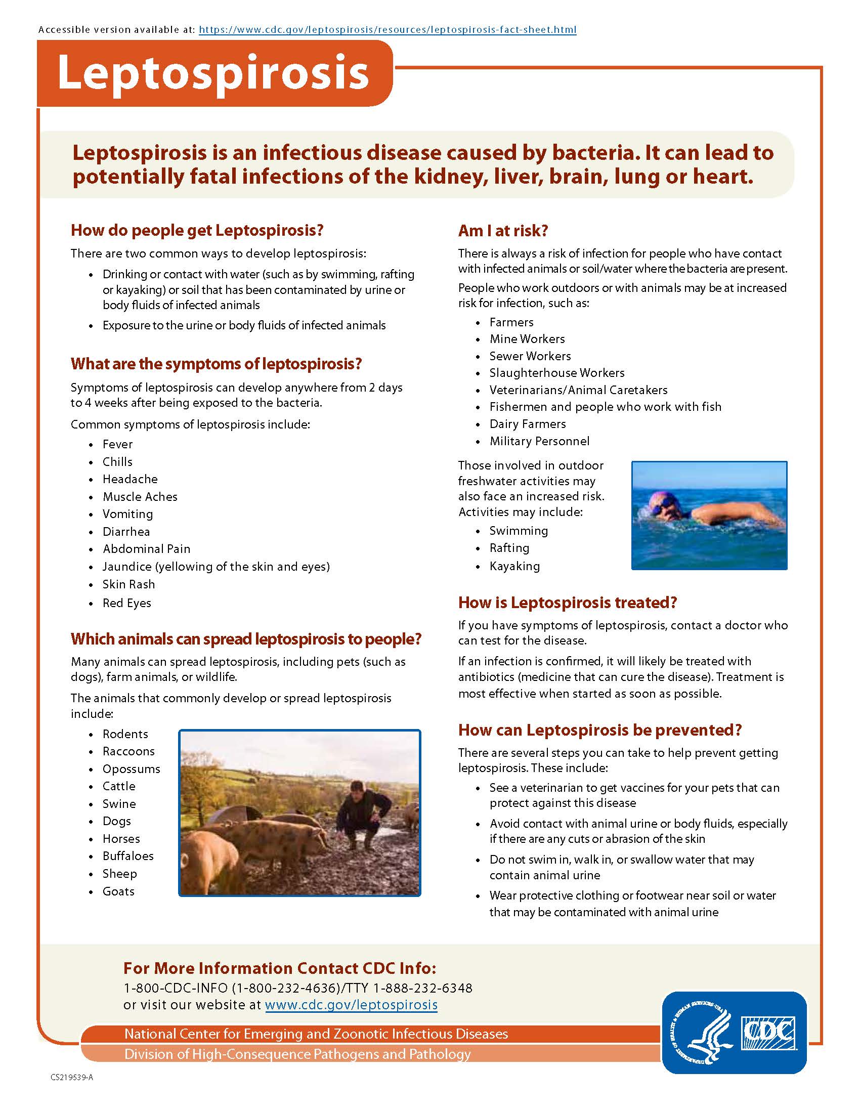 CDC fact-sheet-Leptosporosis.jpg