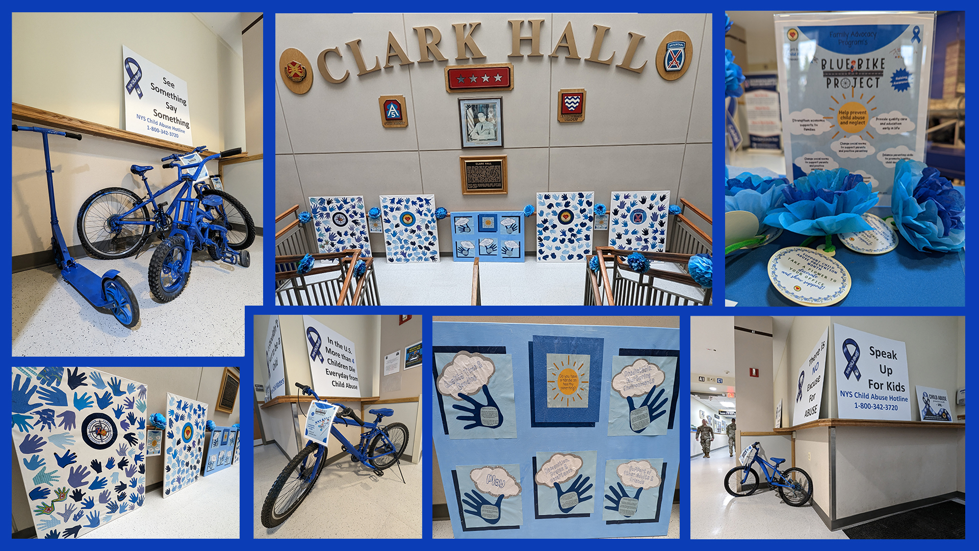 Blue Bike Project.jpg