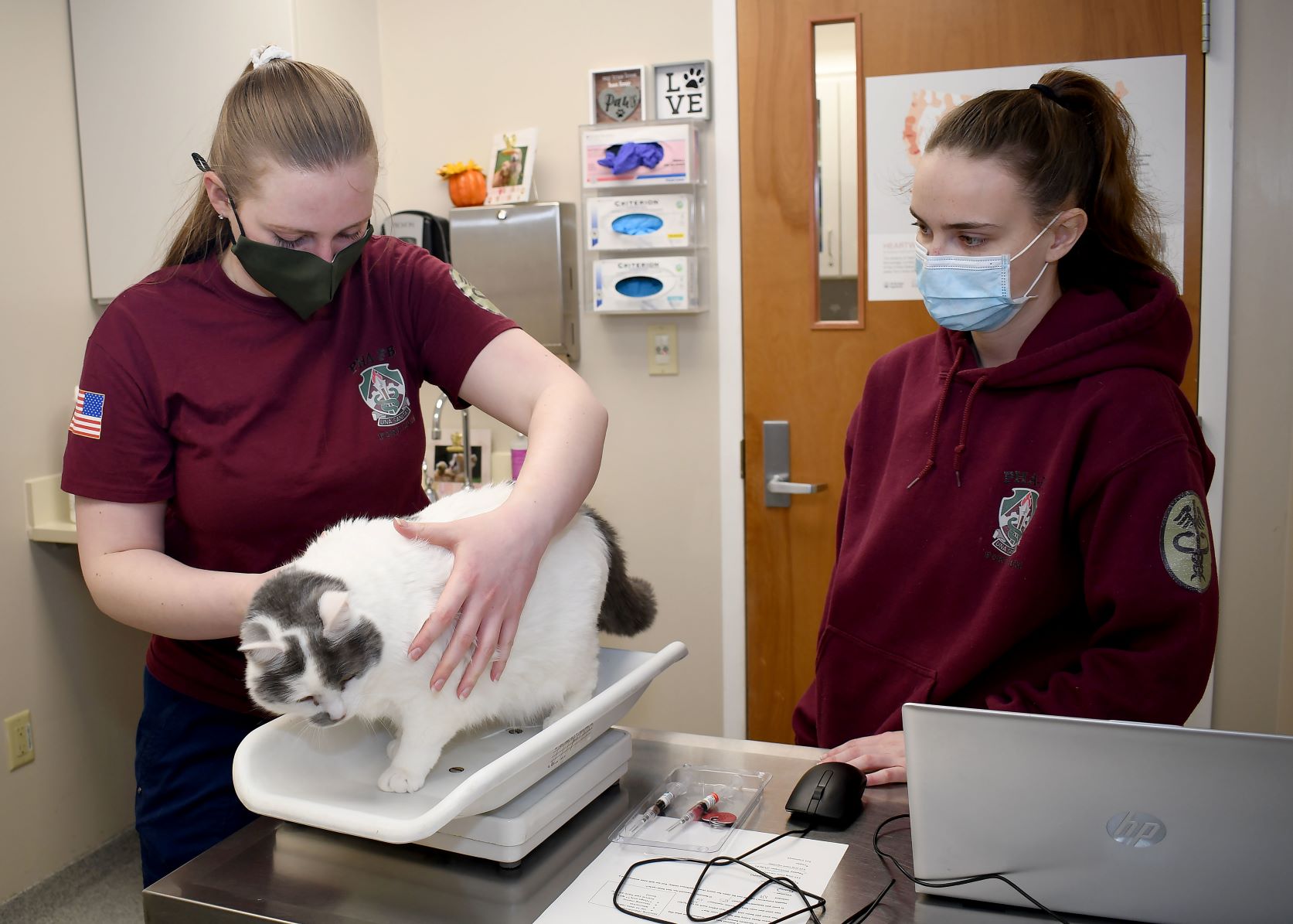 Fort Drum Vet Clinic 2 wb.jpg