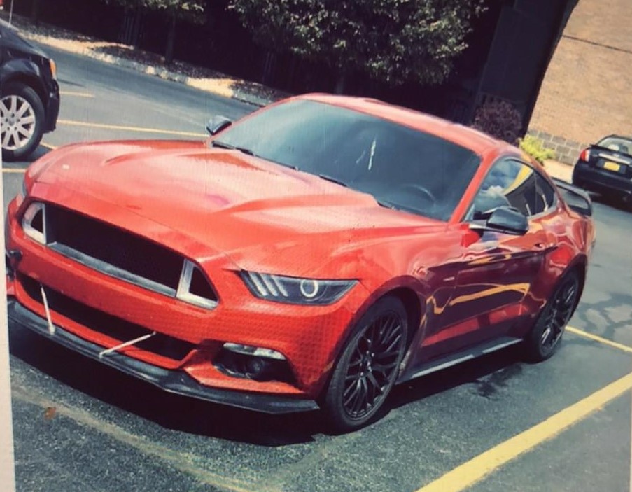 Harris Mustang.jpg