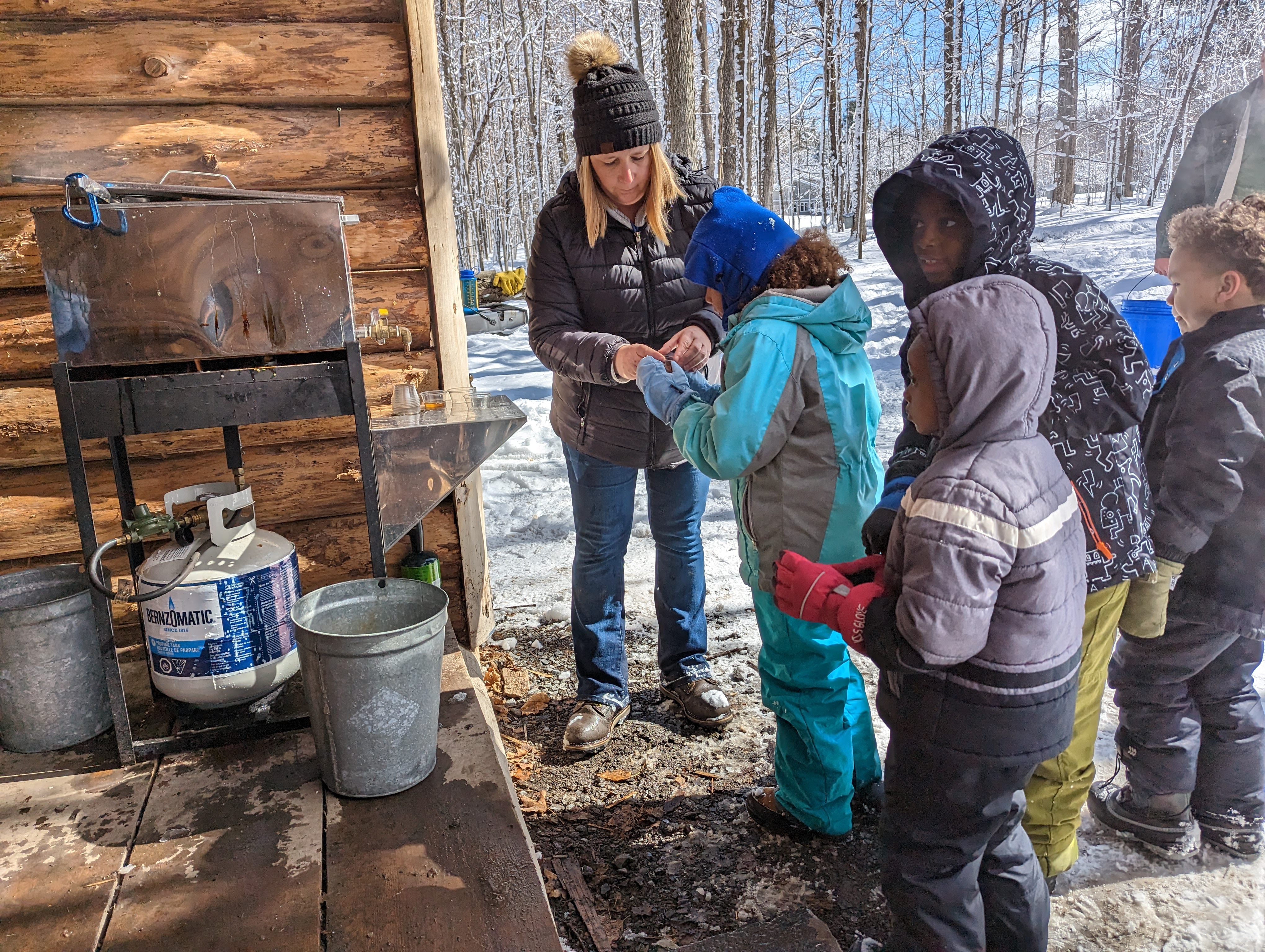 Maple Days (Amy).jpg