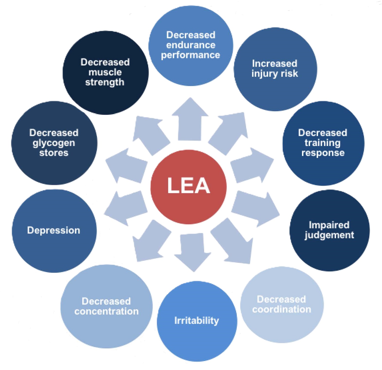 Low Energy Availability graphic.jpg