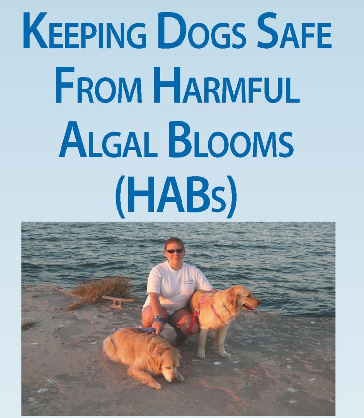 Dogs and HABs cover.jpg