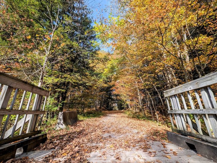 2023 Fort Drum fall foliage 25 wbb.jpg