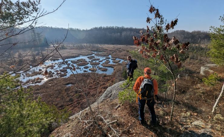 Hike with Fort Drum foresters 1 med cr wb.jpg