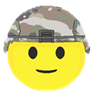 Partially Compliant.png