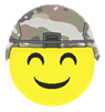 Substantially Compliant.png