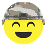 Fully Compliant.png