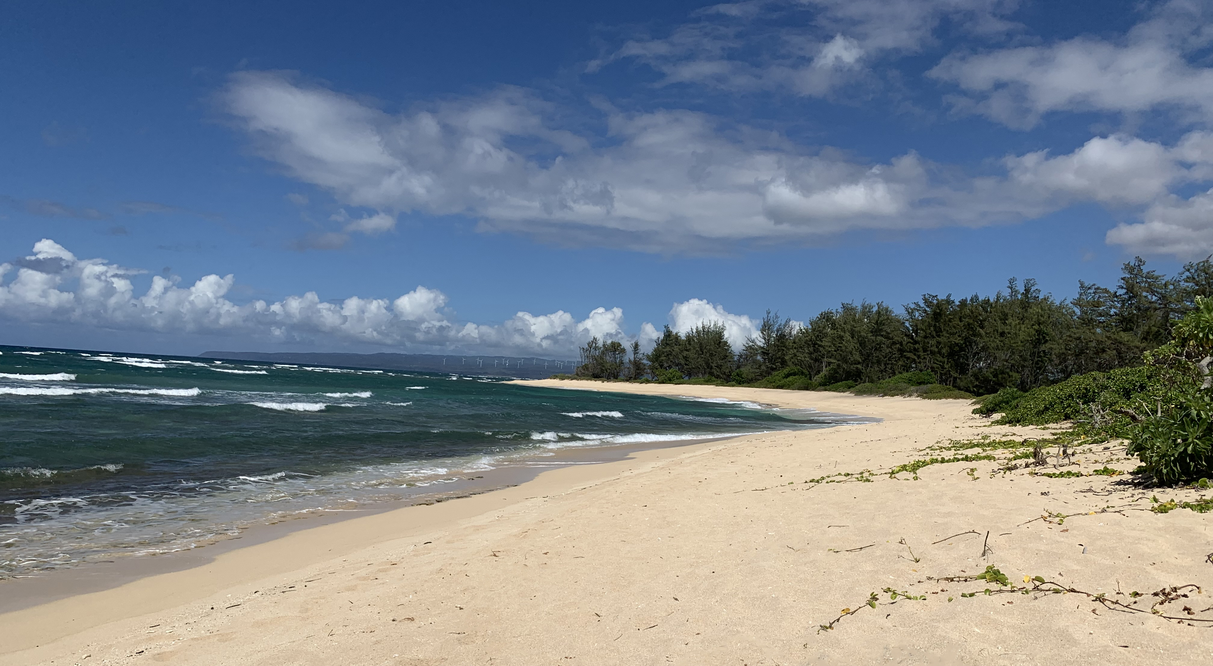 Mokuleia Beach