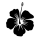 ei_hibiscus.png