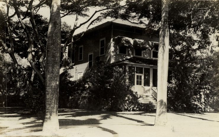 Palm 6 1914.jpg