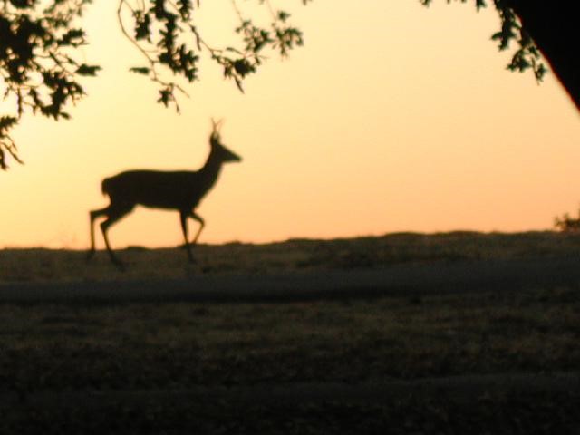 Local Hazards Image