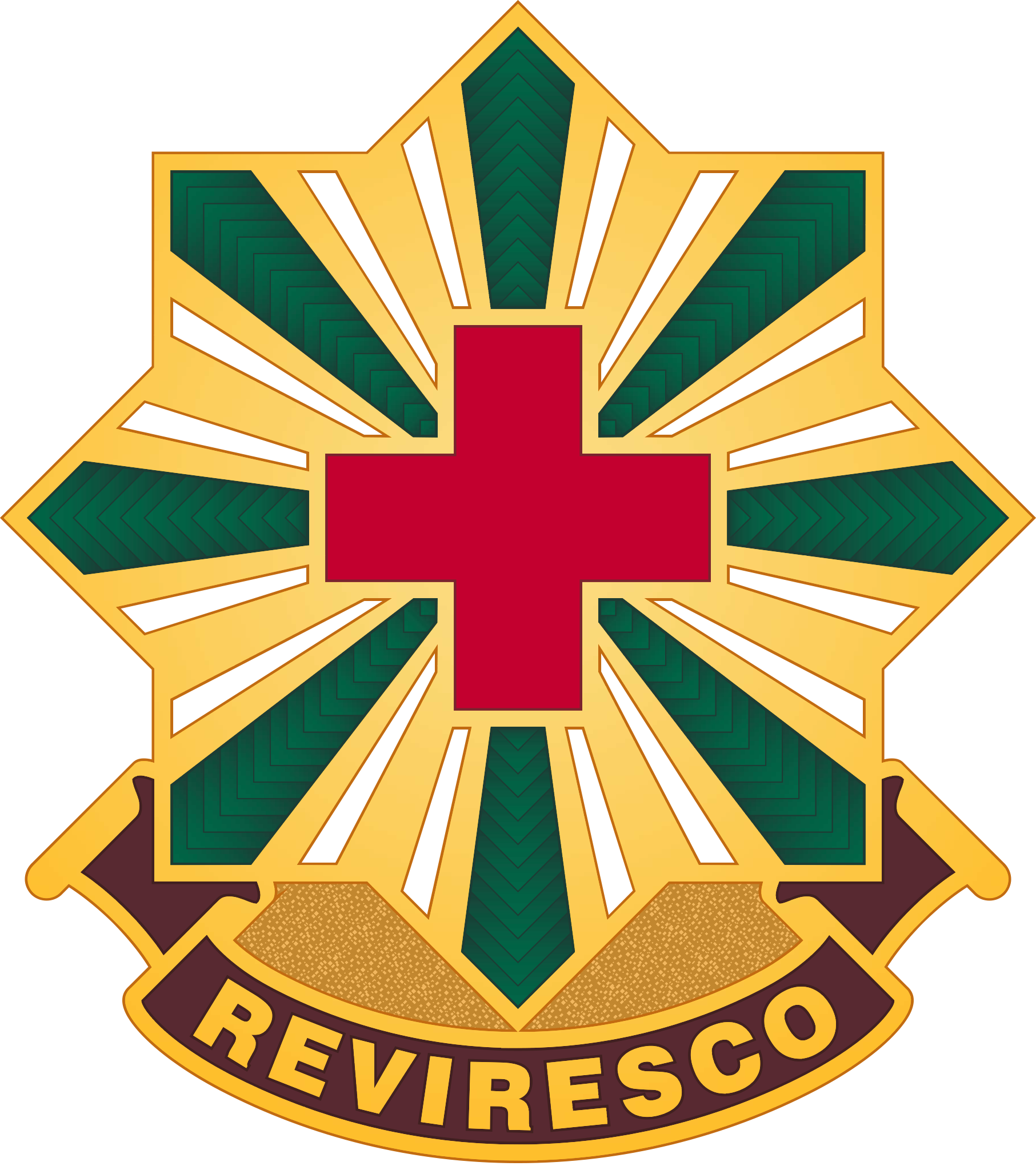 528th Hospital Center_DUI.png